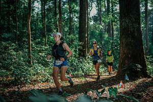 BIB: 
                            <button type="button" onclick="openModal(26131779)" class="btn btn-primary btn-sm float-right btn-popup" data-toggle="modal" data-target=".modal-high-quality">
                        <i class="fas fa-shopping-cart"></i> Add to Cart
                    </button>
                                            <button type="button" onclick="isThisMe(26131779, true)" class="btn btn-success btn-sm float-right btn-popup btn-isme hidden" data-toggle="tooltip" data-placement="bottom" title="นี่คือรูปของคุณใช่ไหม คลิกที่นี่เพื่อเอาเข้าอัลบั้ม">
                        <i class="fas fa-plus"></i> Add to album
                    </button>
                    <button type="button" onclick="isThisMe(26131779, false)" class="btn btn-warning btn-sm float-right btn-popup btn-isnotme hidden">
                        <i class="fas fa-ban"></i> Remove from album
                    </button>